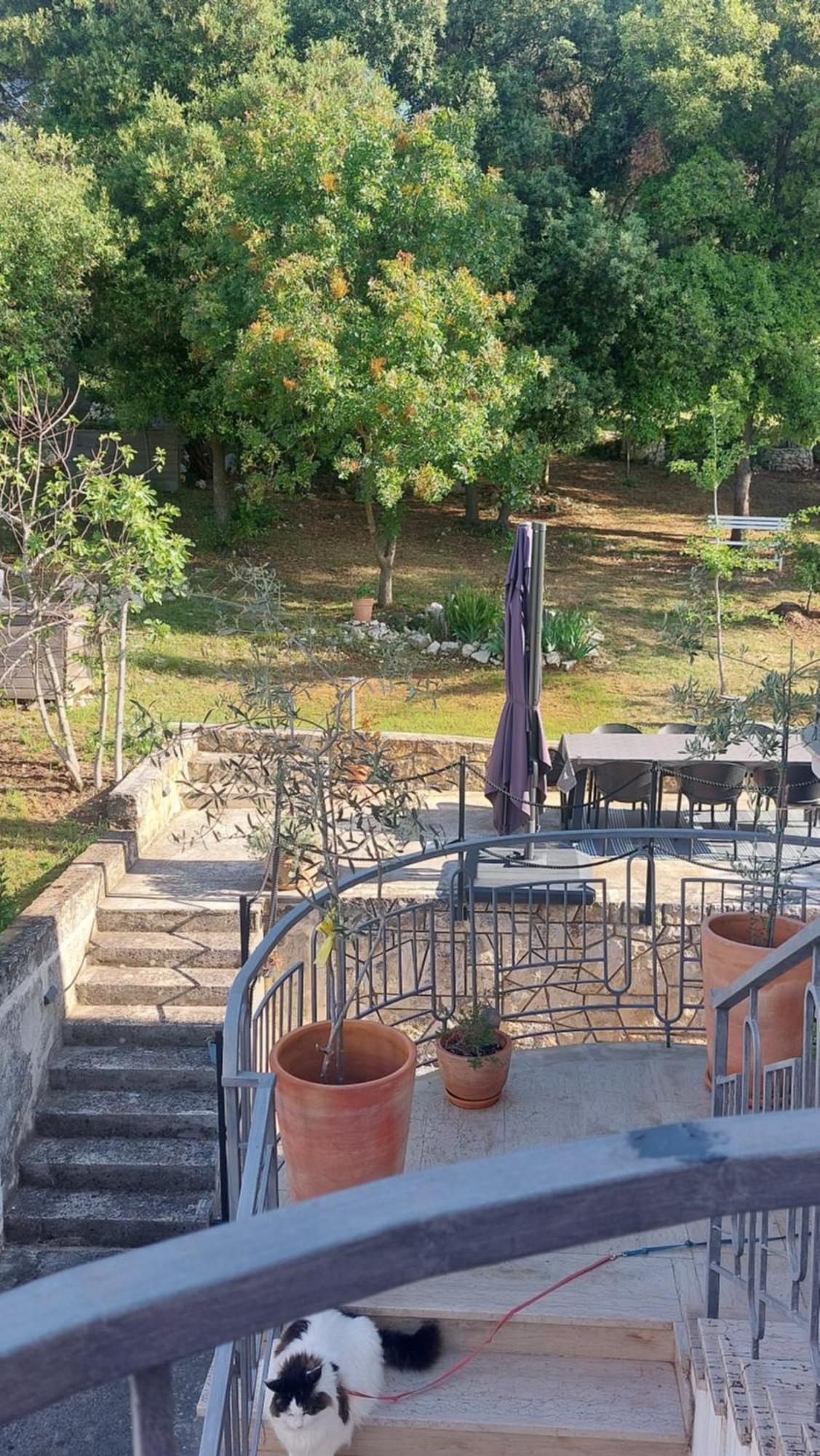 Marta Lägenhet Rovinj Exteriör bild